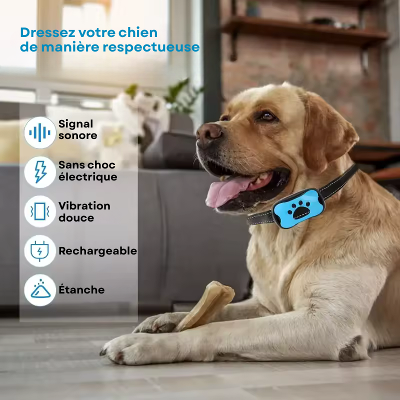 Collier anti aboiement Pour chiens